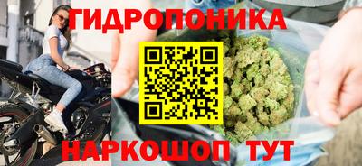 винт Пенза